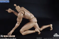 1/6 Scale Standard Muscle Arm Body