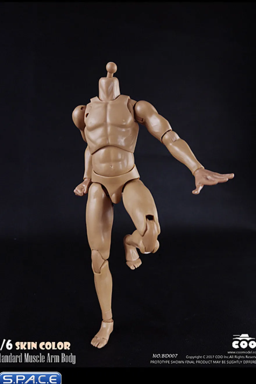 1/6 Scale Standard Muscle Arm Body