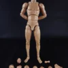 1/6 Scale Standard Muscle Arm High Body