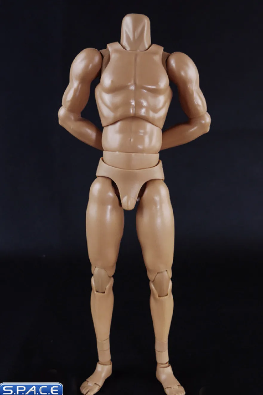1/6 Scale Standard Muscle Arm High Body