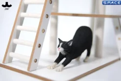 1/6 Scale stretching Cat