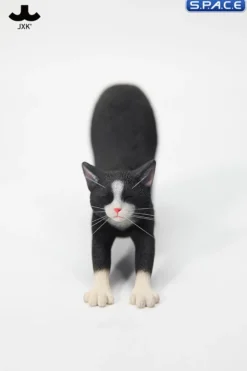 1/6 Scale stretching Cat
