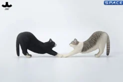 1/6 Scale stretching Cat