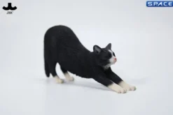 1/6 Scale stretching Cat