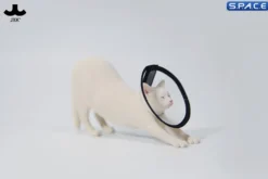 1/6 Scale stretching Cat