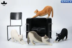 1/6 Scale stretching Cat