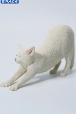 1/6 Scale stretching Cat