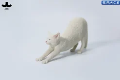 1/6 Scale stretching Cat