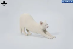 1/6 Scale stretching Cat