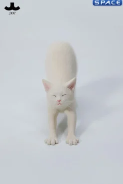 1/6 Scale stretching Cat