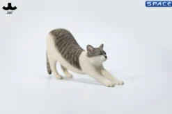 1/6 Scale stretching Cat Version D