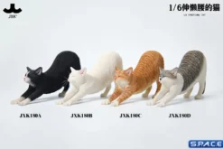 1/6 Scale stretching Cat Version D