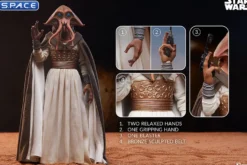 1/6 Scale Tessek Scum & Villainy