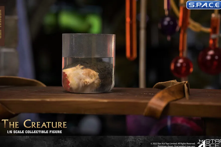 1/6 Scale The Creature