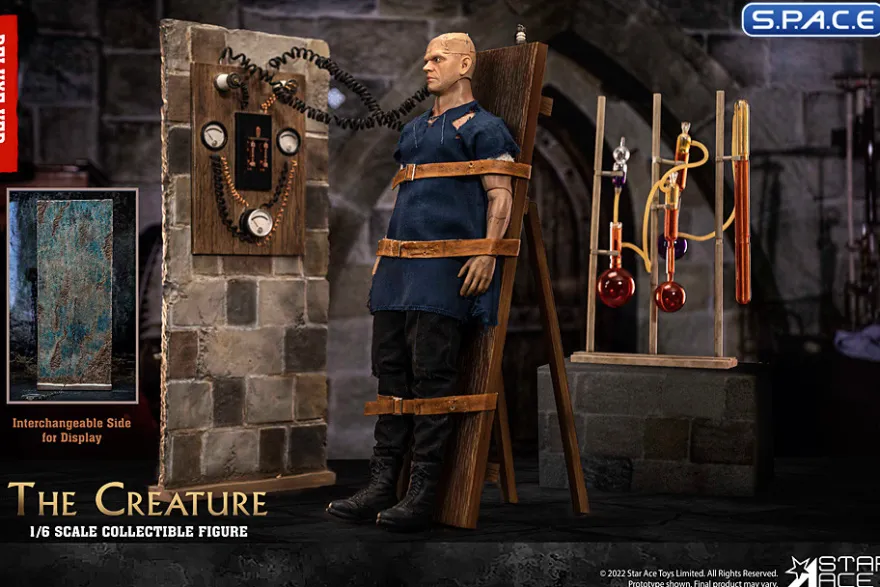 1/6 Scale The Creature Deluxe Version