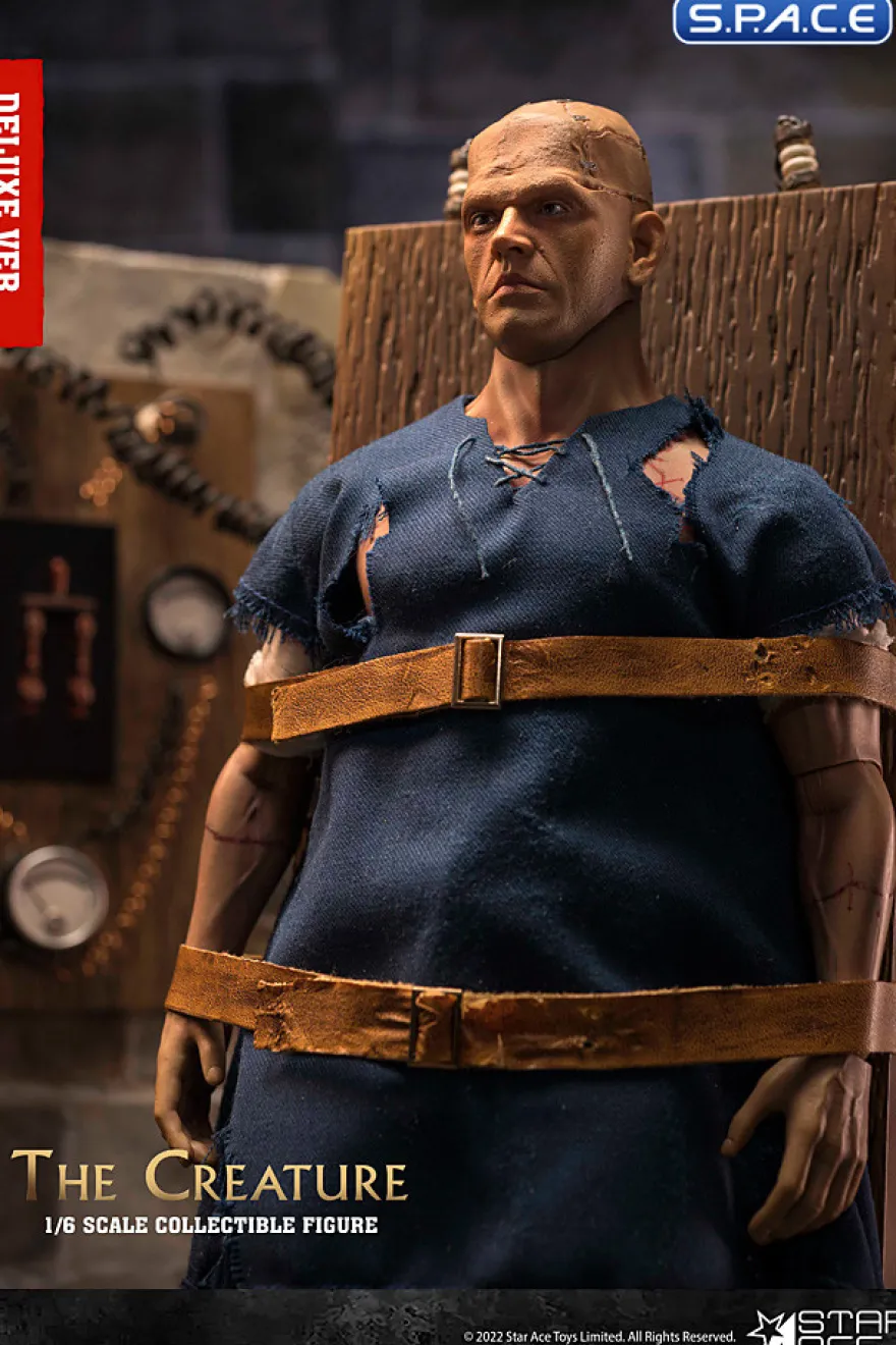 1/6 Scale The Creature Deluxe Version