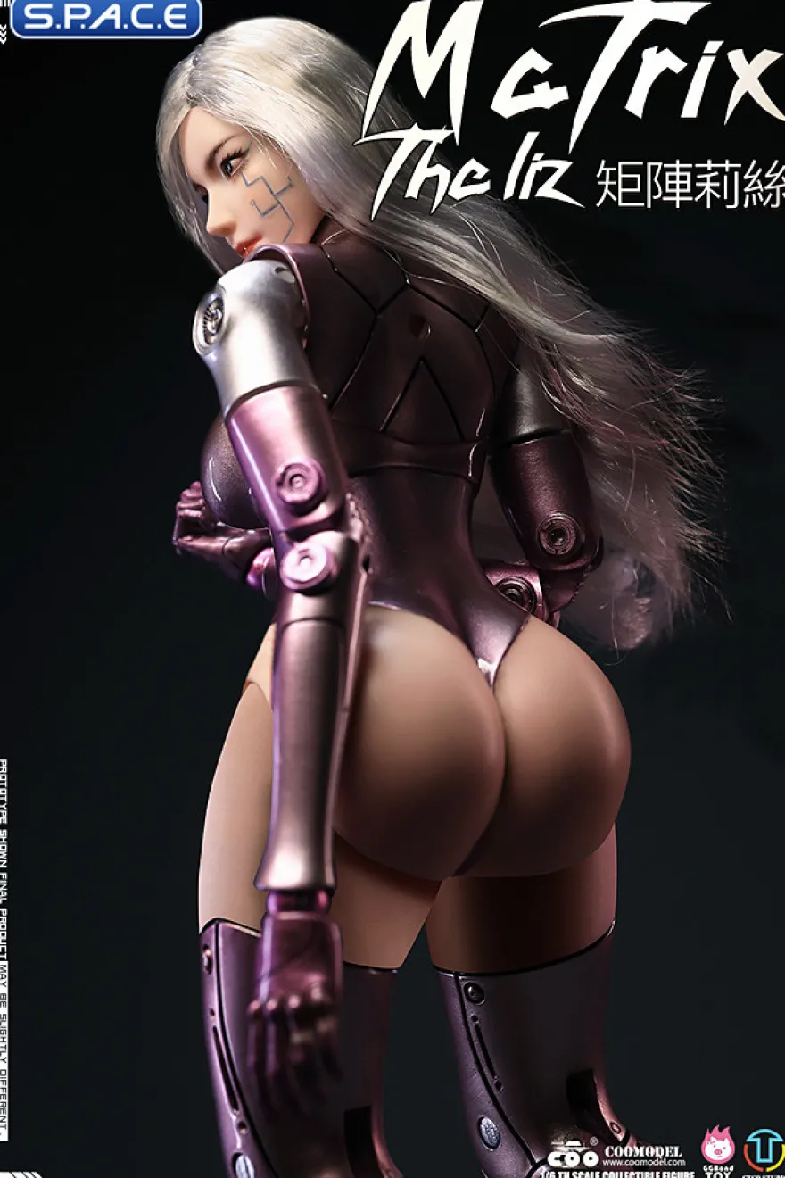 1/6 Scale The Liz - Matrix