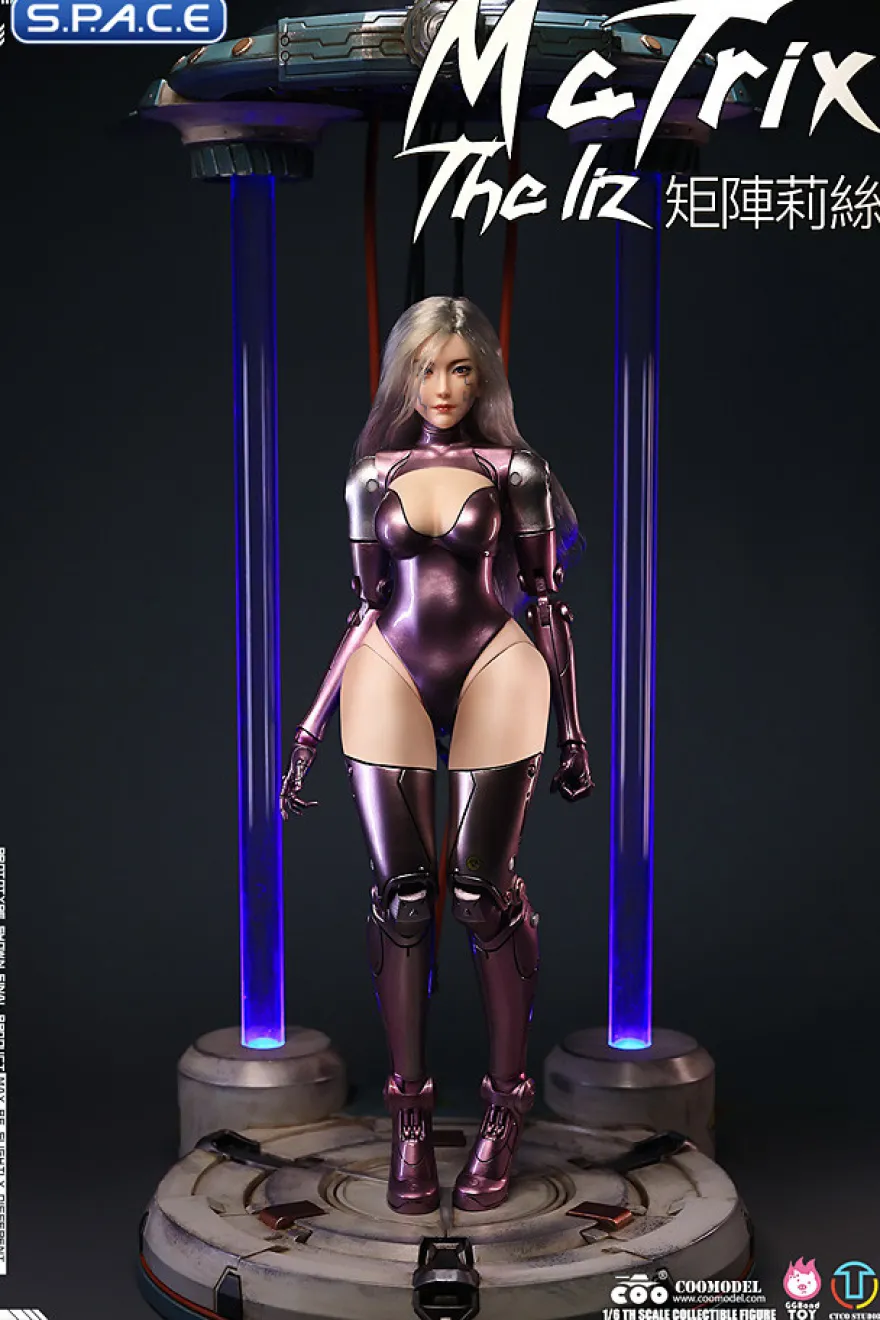 1/6 Scale The Liz - Matrix