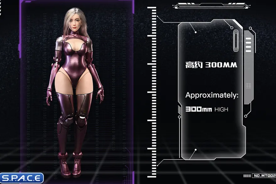 1/6 Scale The Liz - Matrix