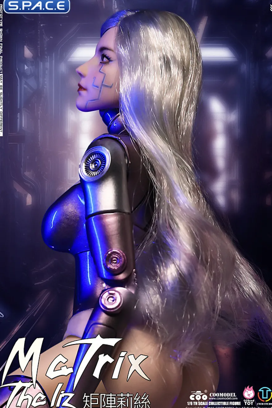 1/6 Scale The Liz - Matrix
