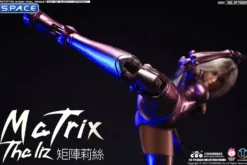 1/6 Scale The Liz - Matrix