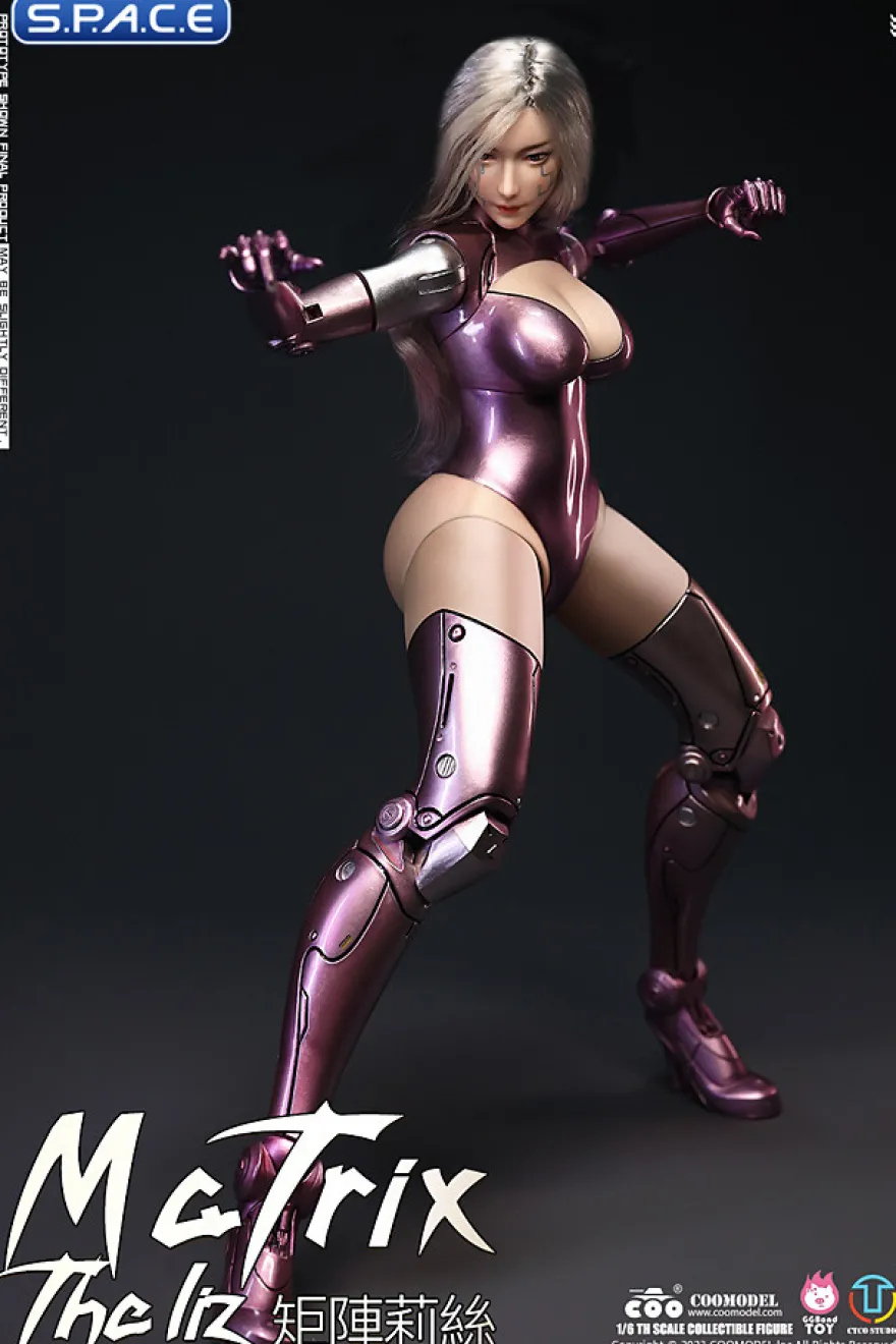 1/6 Scale The Liz - Matrix