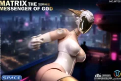 1/6 Scale The Messenger of God - Matrix