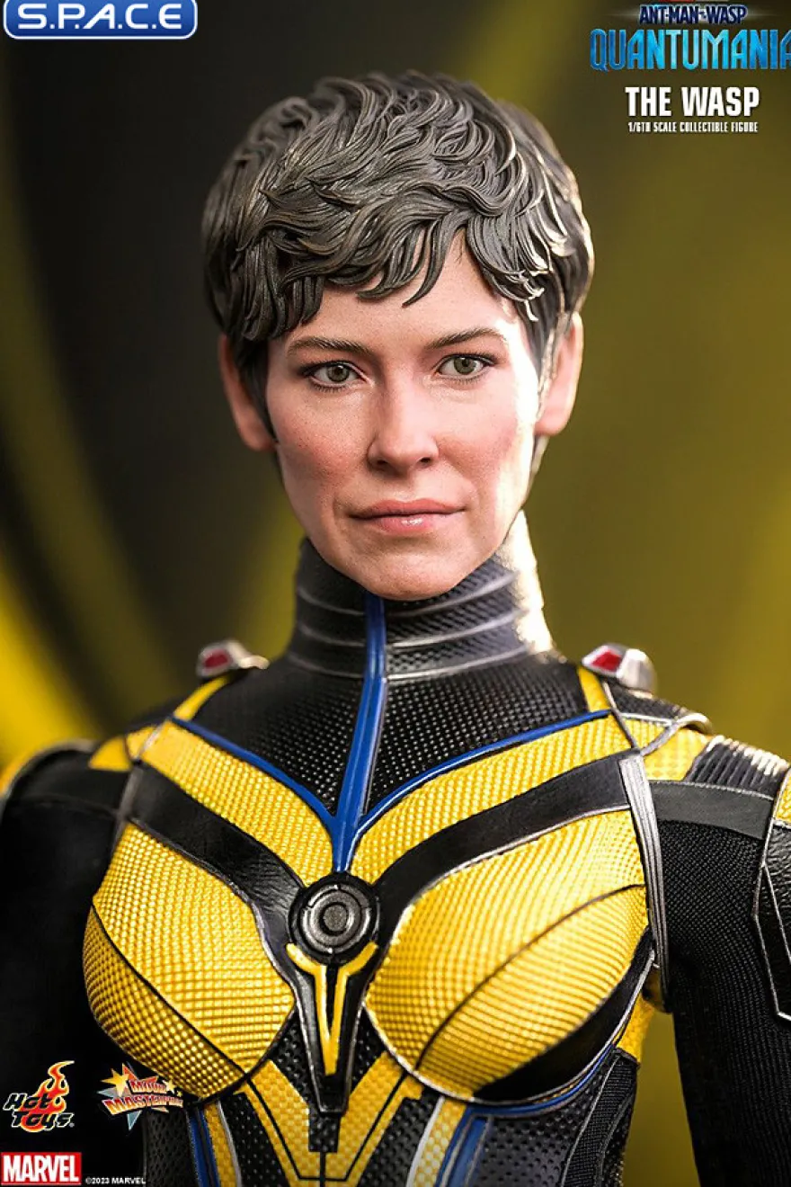 1/6 Scale The Wasp Movie Masterpiece MMS691
