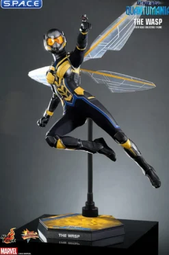 1/6 Scale The Wasp Movie Masterpiece MMS691