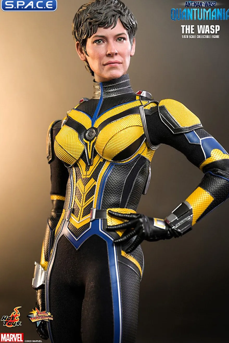 1/6 Scale The Wasp Movie Masterpiece MMS691
