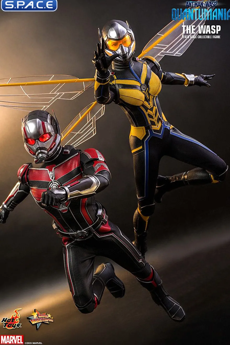 1/6 Scale The Wasp Movie Masterpiece MMS691