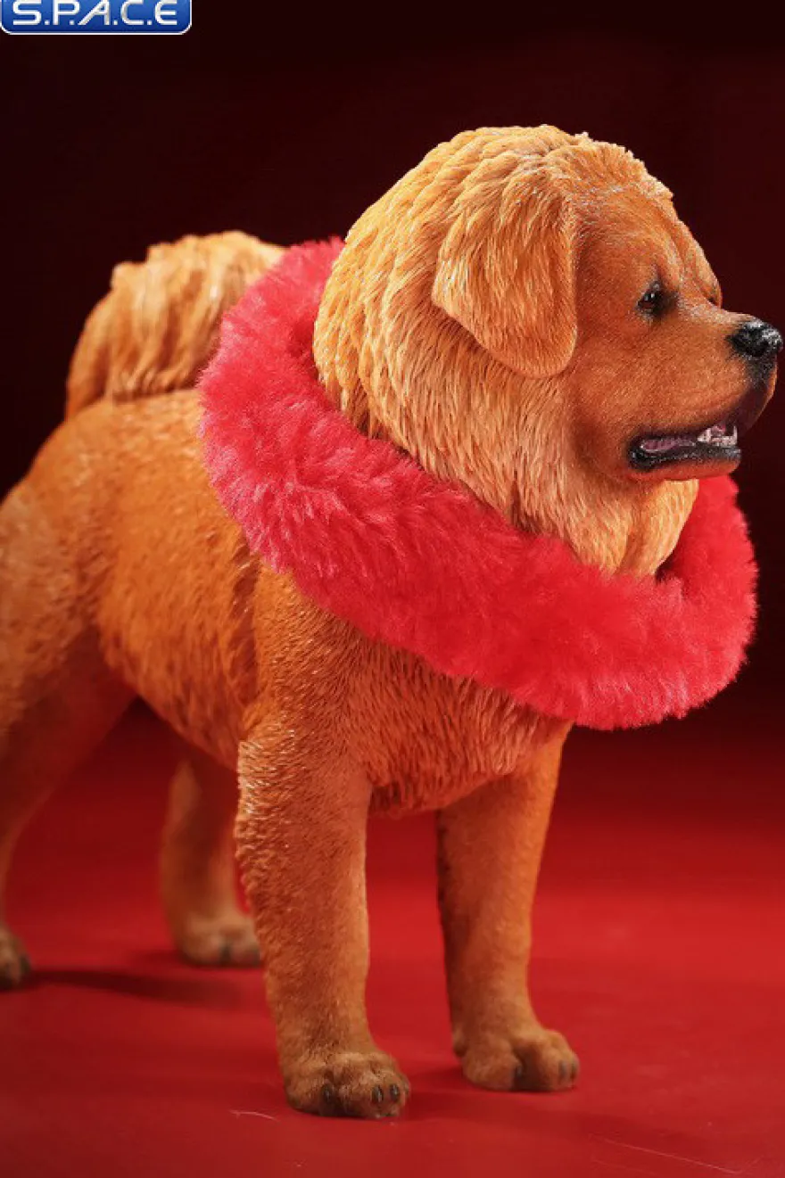 1/6 Scale Tibetan Mastiff