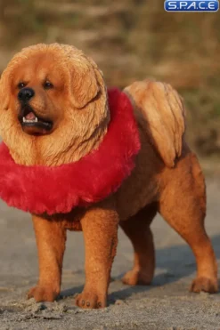 1/6 Scale Tibetan Mastiff