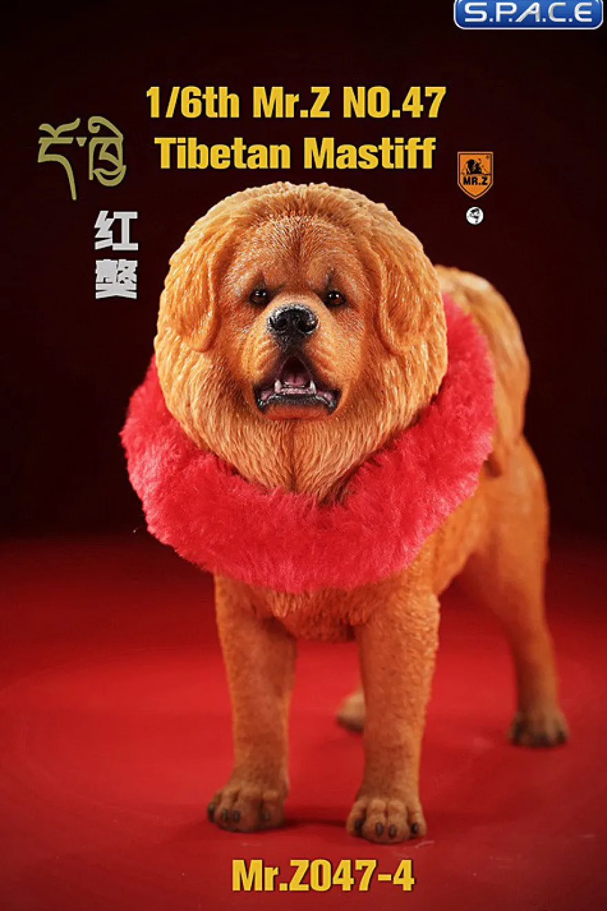 1/6 Scale Tibetan Mastiff