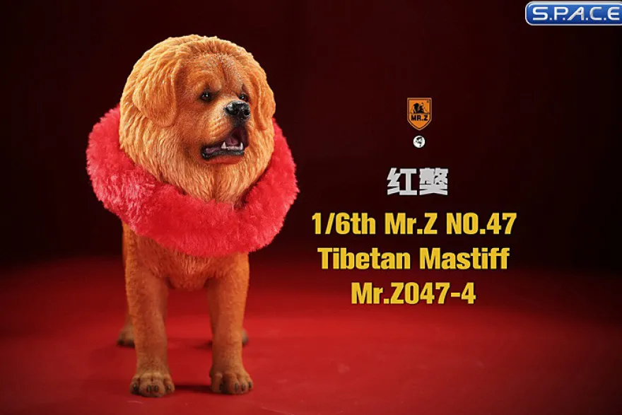 1/6 Scale Tibetan Mastiff