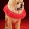1/6 Scale Tibetan Mastiff
