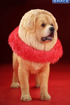 1/6 Scale Tibetan Mastiff