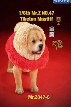 1/6 Scale Tibetan Mastiff