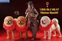 1/6 Scale Tibetan Mastiff