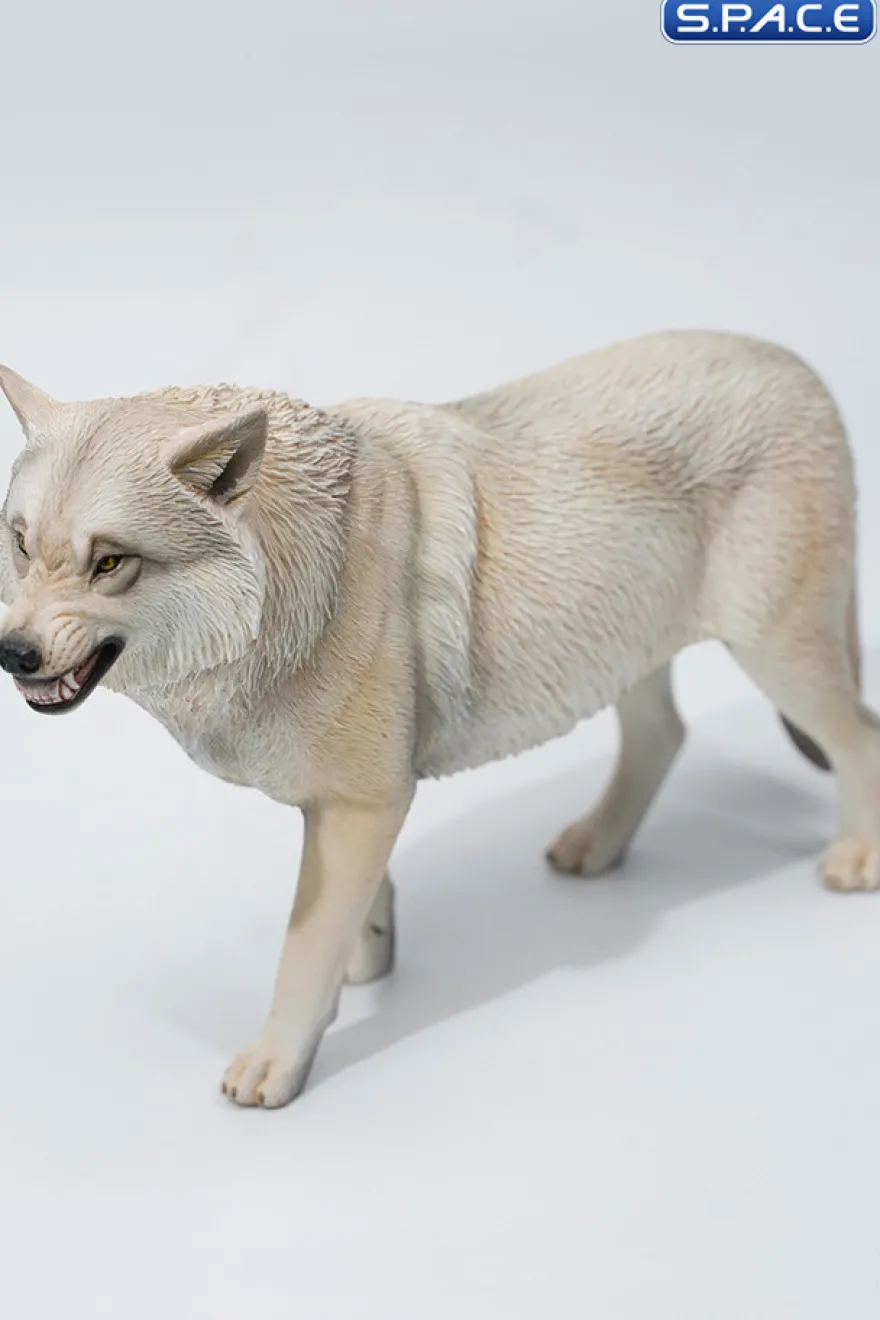 1/6 Scale Tibetan Wolf