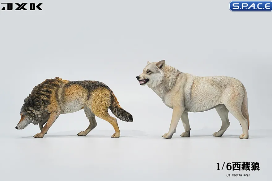1/6 Scale Tibetan Wolf