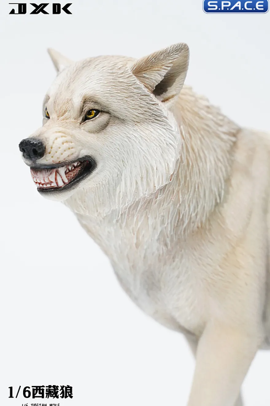 1/6 Scale Tibetan Wolf