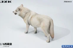 1/6 Scale Tibetan Wolf