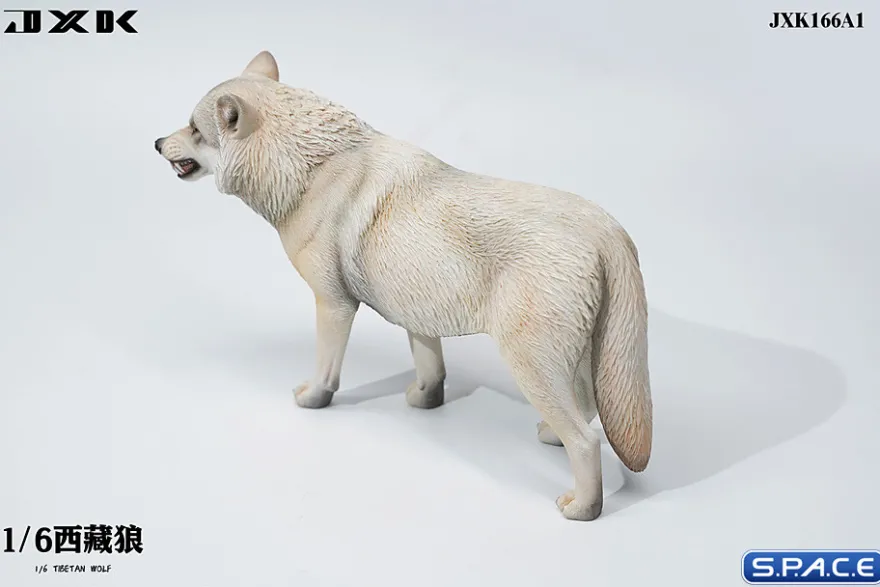 1/6 Scale Tibetan Wolf