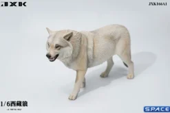 1/6 Scale Tibetan Wolf