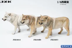1/6 Scale Tibetan Wolf