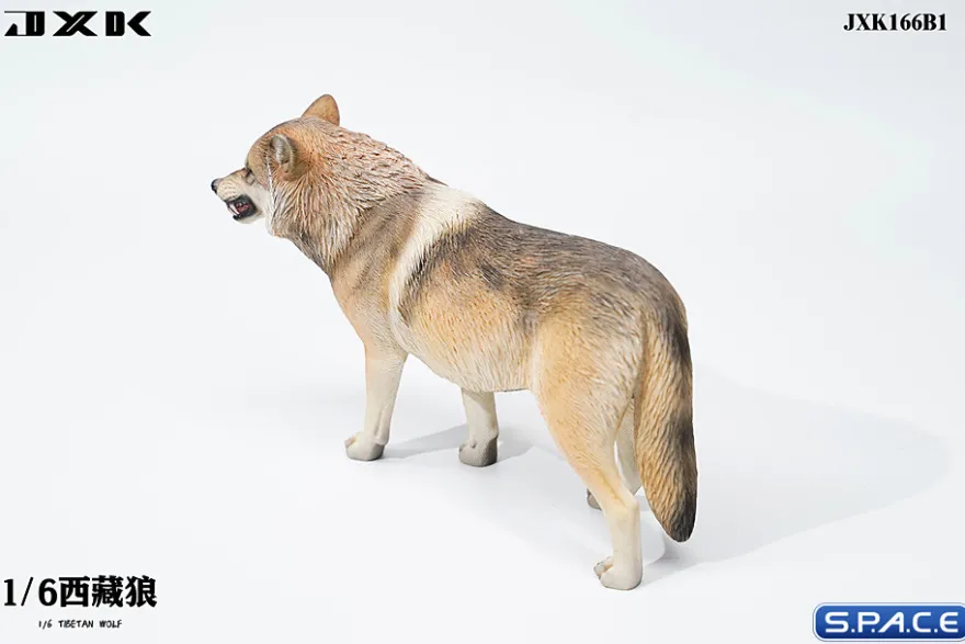 1/6 Scale Tibetan Wolf