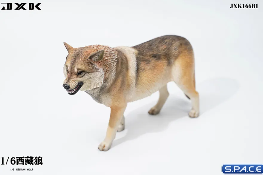 1/6 Scale Tibetan Wolf
