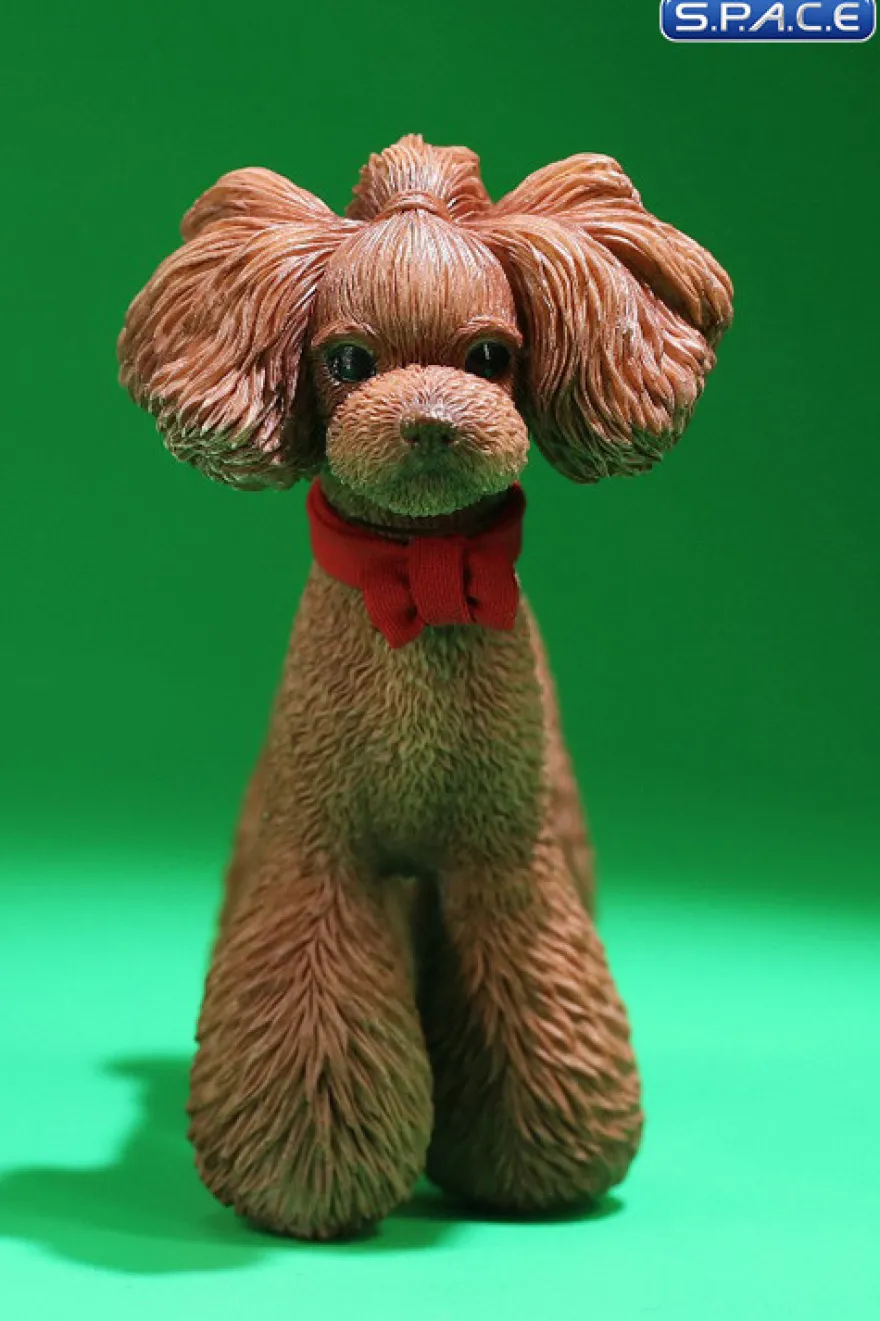 1/6 Scale Toy Poodle
