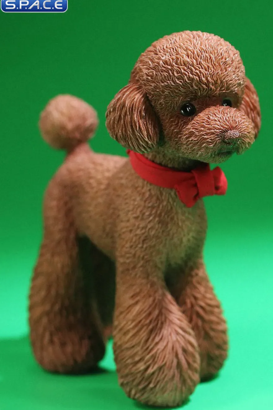 1/6 Scale Toy Poodle